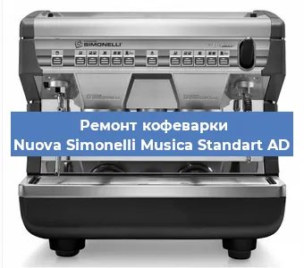 Чистка кофемашины Nuova Simonelli Musica Standart AD от накипи в Нижнем Новгороде